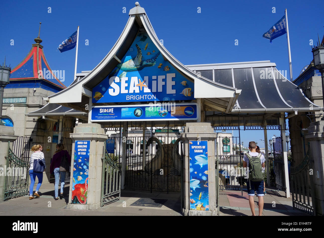 Brighton Sealife centre, East Sussex, Britain, UK Stock Photo