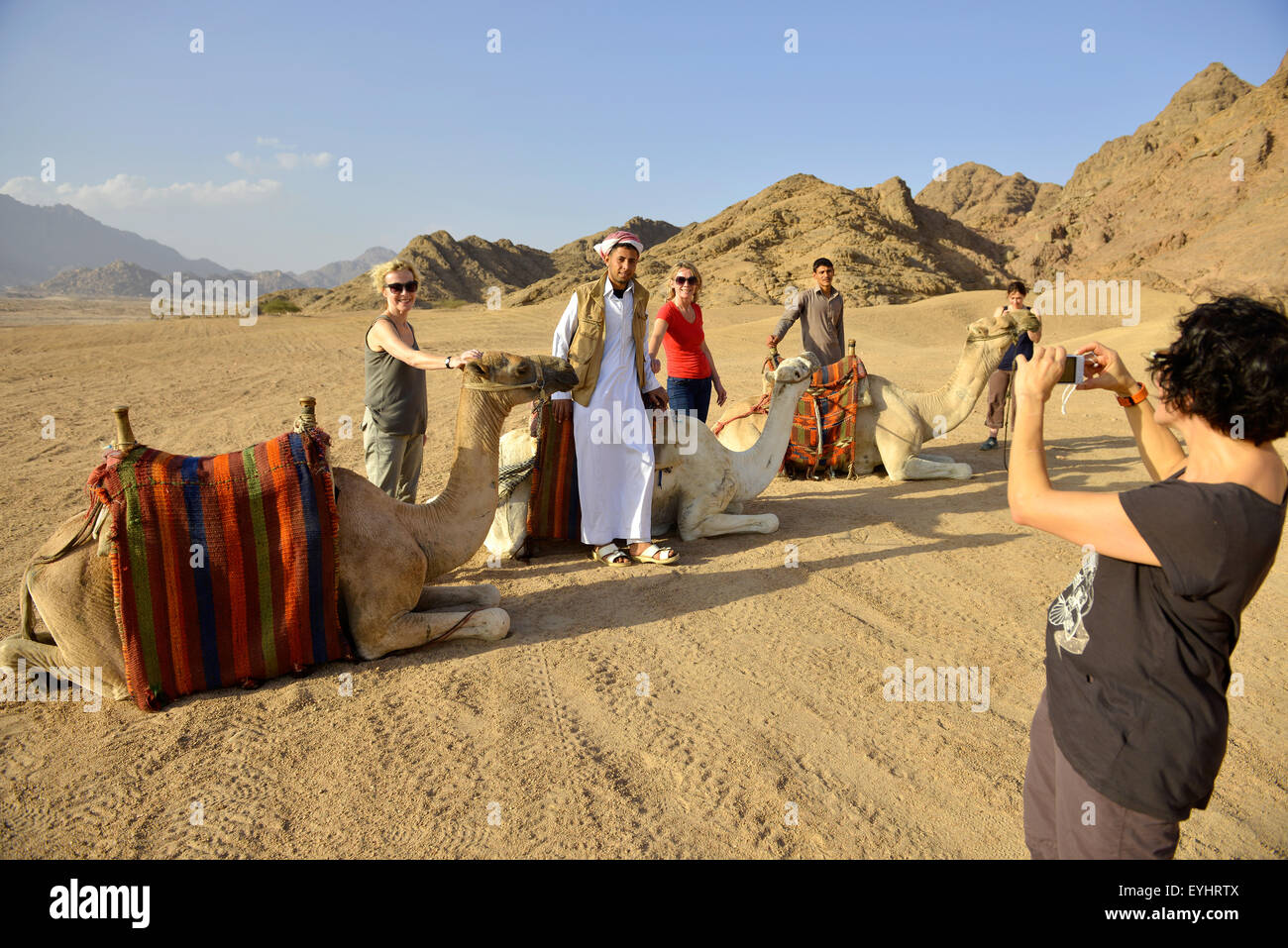Tourists on a camel ride near Sharm El Sheikh Egypt Stock Photo