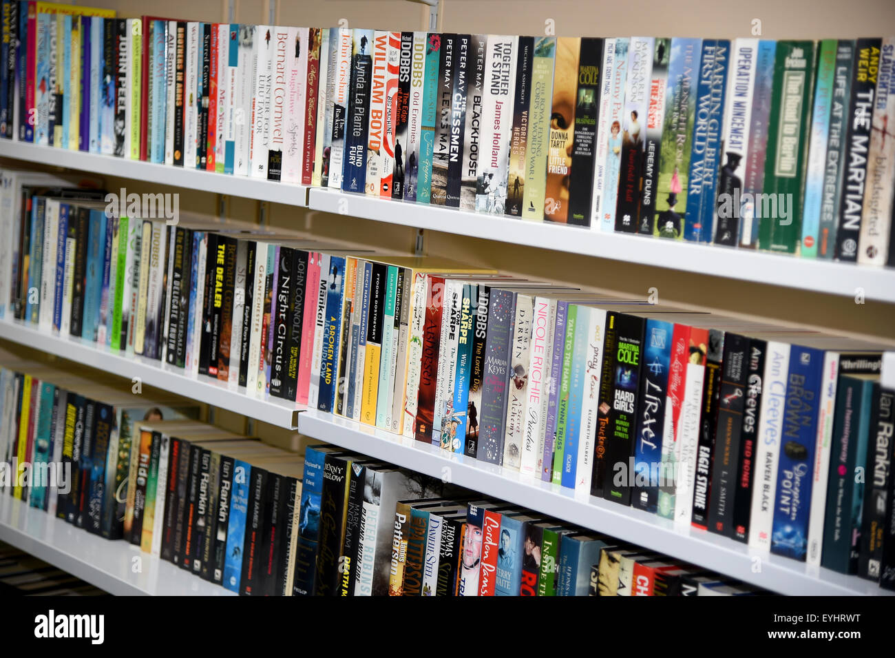 Books on a bookshelf, collection of books Stock Photo Alamy