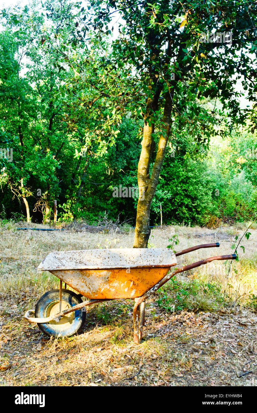 Empty old wheelbarrow in a garden Stock Photo Alamy