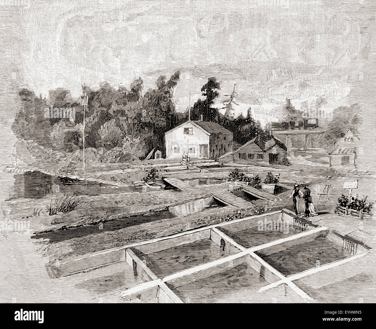 New York State hatcheries at Caledonia, New York, America in the 19th