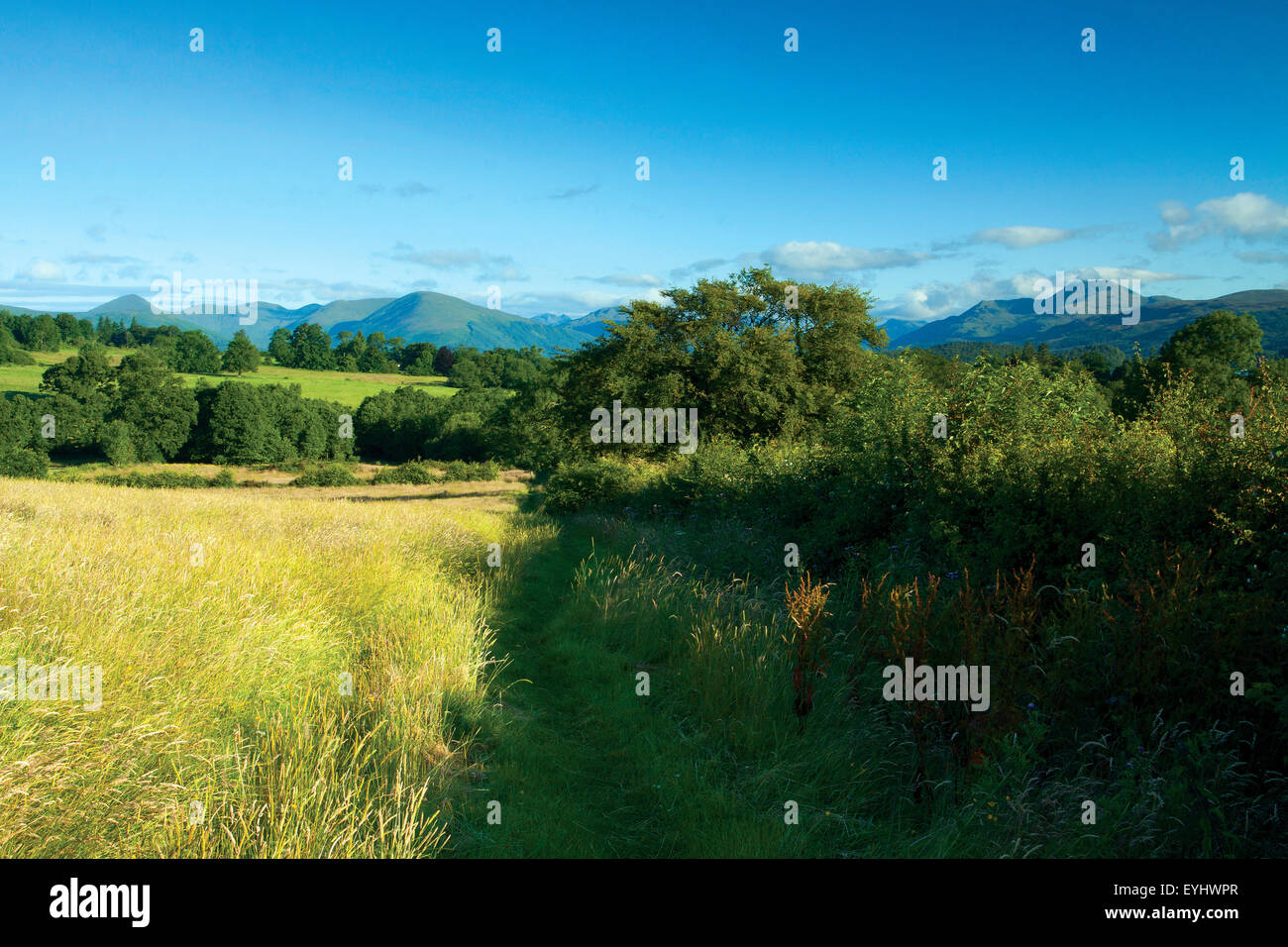 Ben Lomond, the Luss Hills and Loch Lomond National Nature Reserve from
