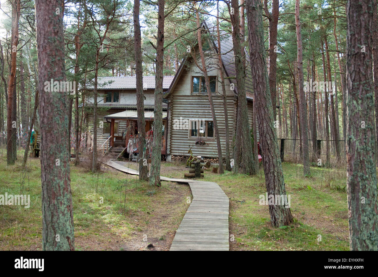 Old wooden house in the woods. Autumn season. Pine forest. Stock Photo