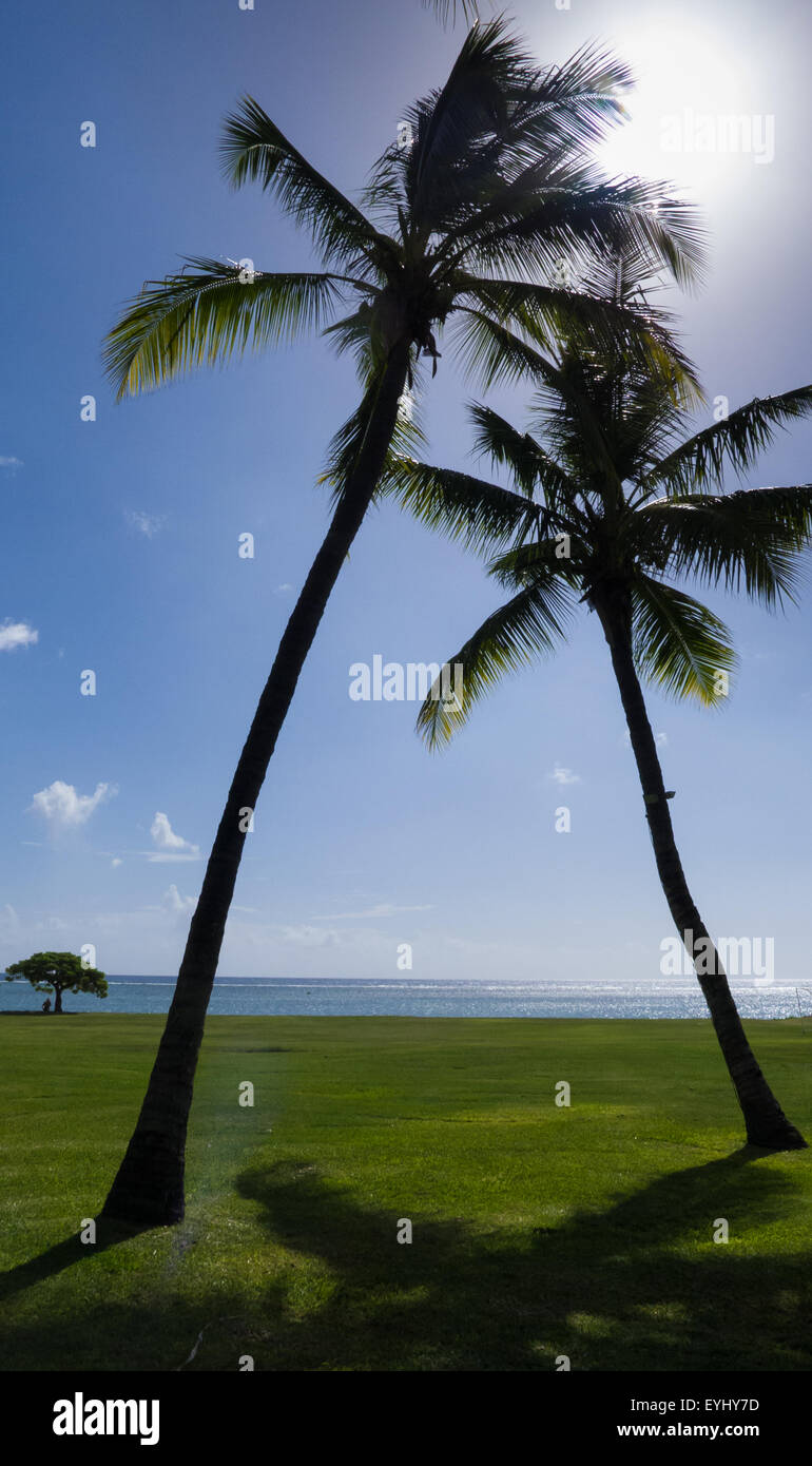 Flic en Flac, Mauritius. La Pirogue tourist resort. Two palm trees by sea. Stock Photo