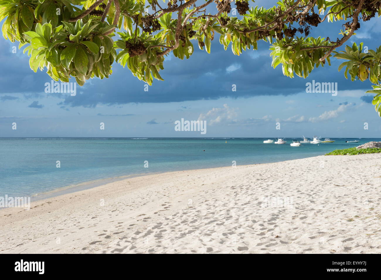 Flic en Flac, Mauritius. La Pirogue tourist resort green tree,  blue sea and white boats and white sand. Stock Photo