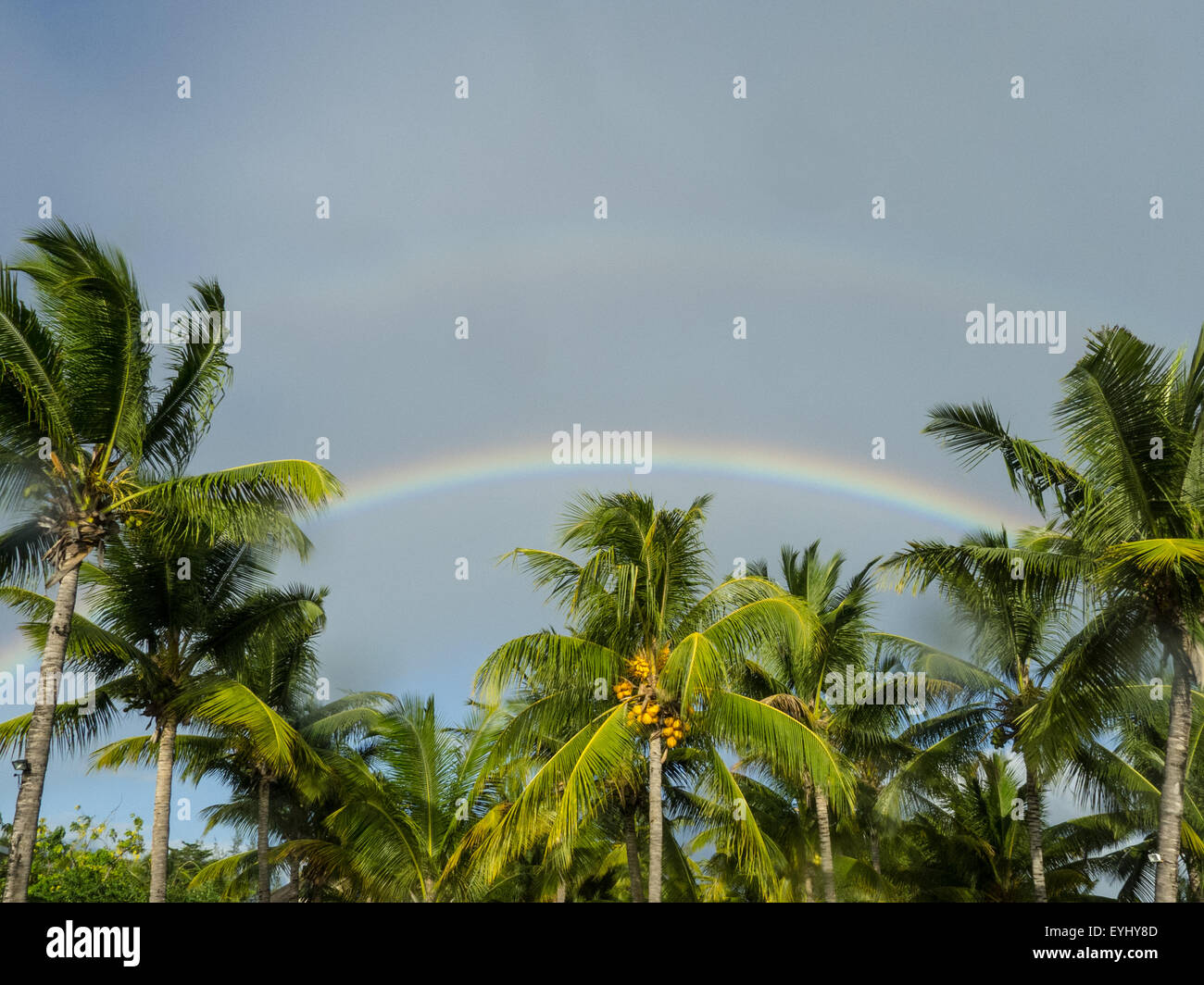 Flic en Flac, Mauritius. La Pirogue tourist resort. Rainbow over palm trees. Stock Photo