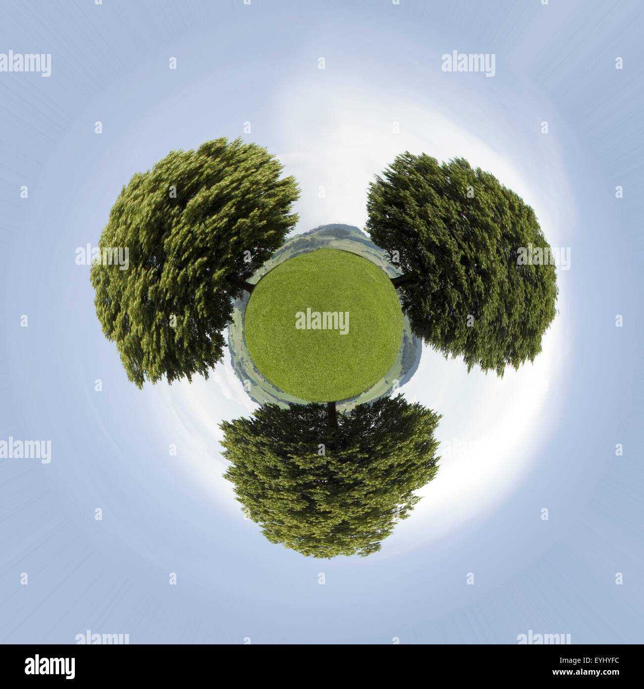 Lindenbaeume, Foto-Effekt; Verzerrungsfilter; Stock Photo