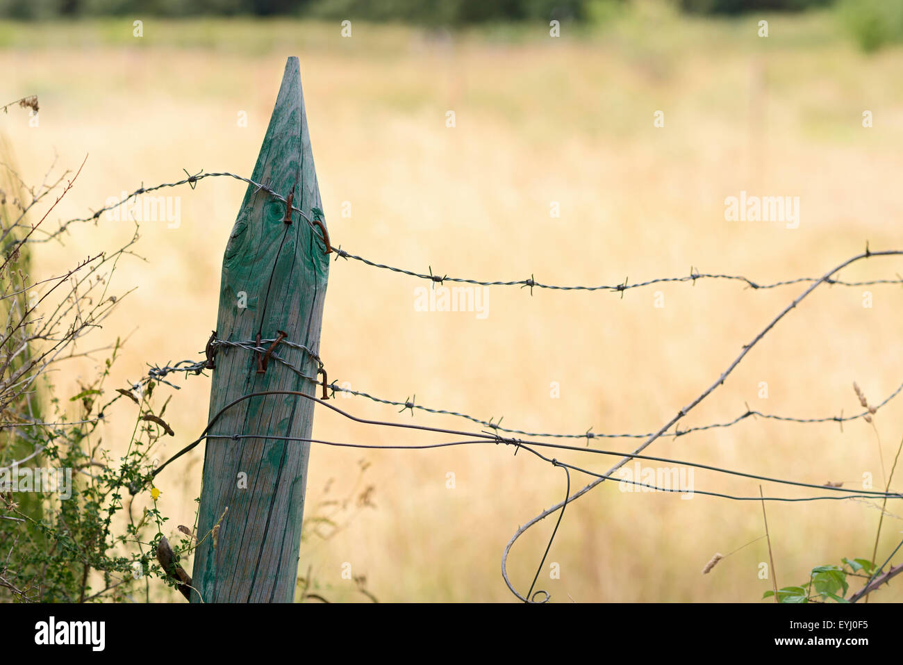 A Close Up of a Wooden Fence with Barbed Wire Stock Photo - Alamy