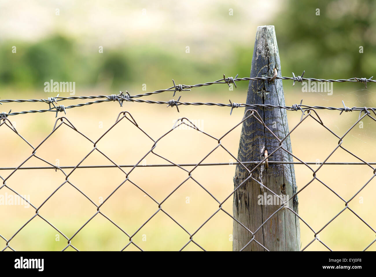 A Close Up of a Wooden Fence with Barbed Wire Stock Photo