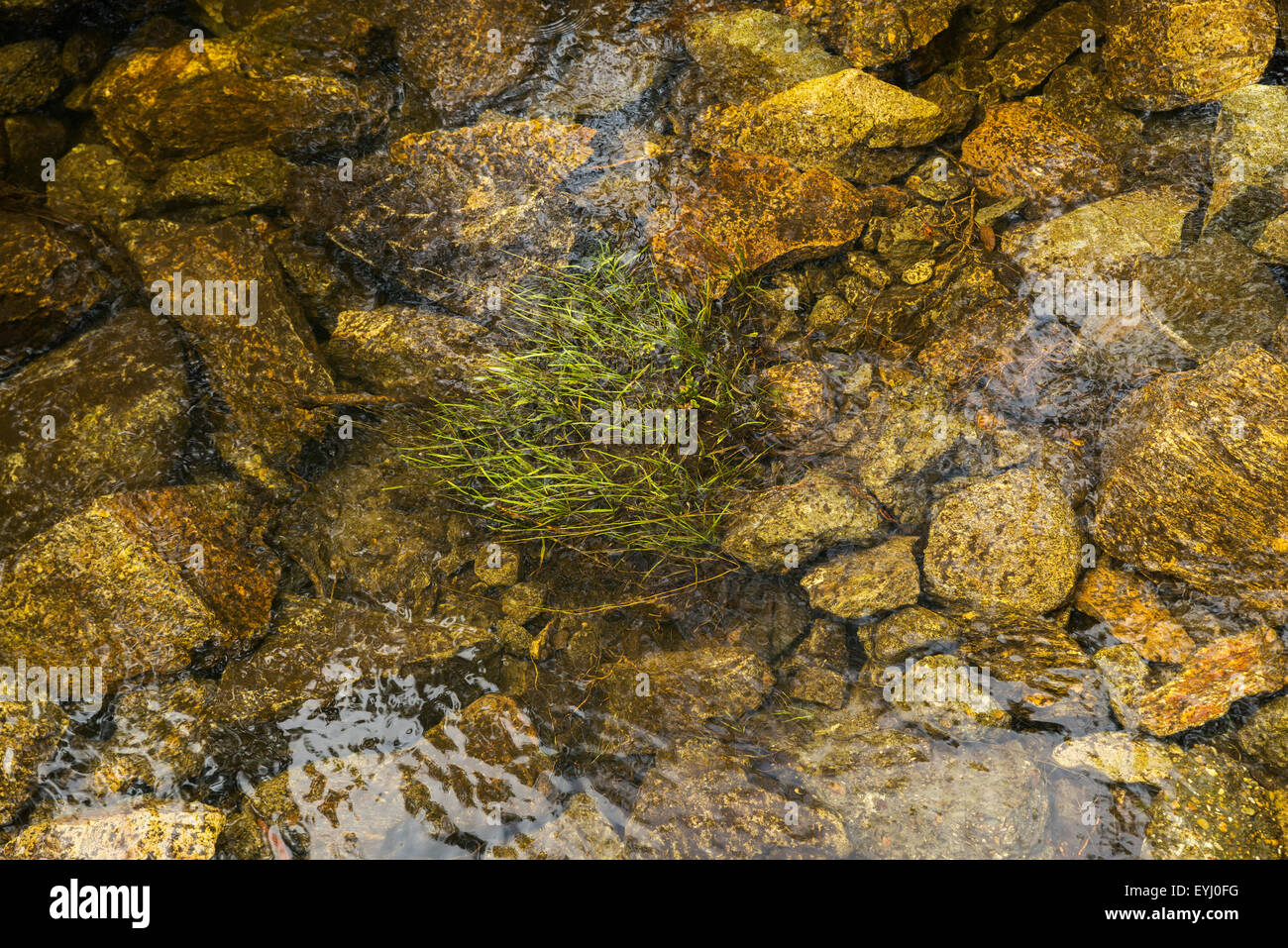 RIVER BOTTOM SET main image 0