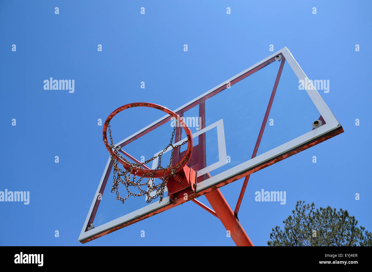 Basketball chain hoop and tree with blue sky as background Stock Photo ...