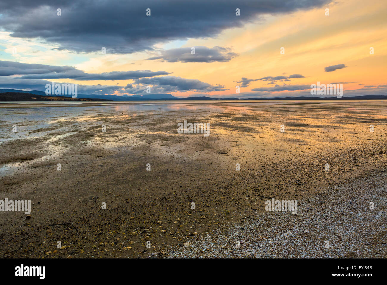 Bruny island neck game reserve hi-res stock photography and images - Alamy