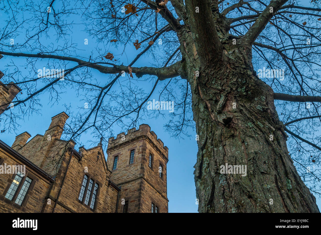 Kenyon College campus, Gambier, OH Stock Photo Alamy