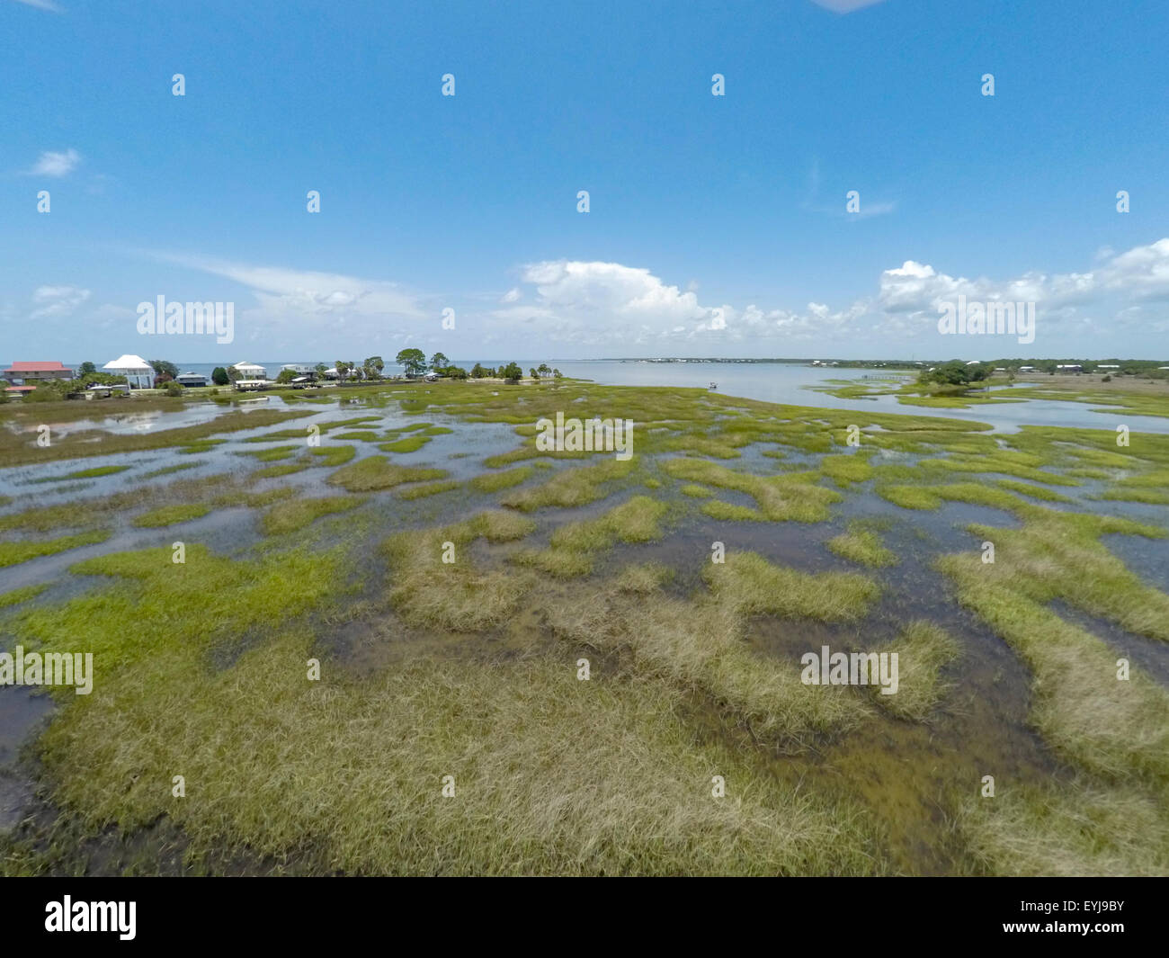 Dark Island Big Bend Sea Grasses - Dark Island Big Bend Sea Grasses Aquatic Preserve Florida EYJ9BY 