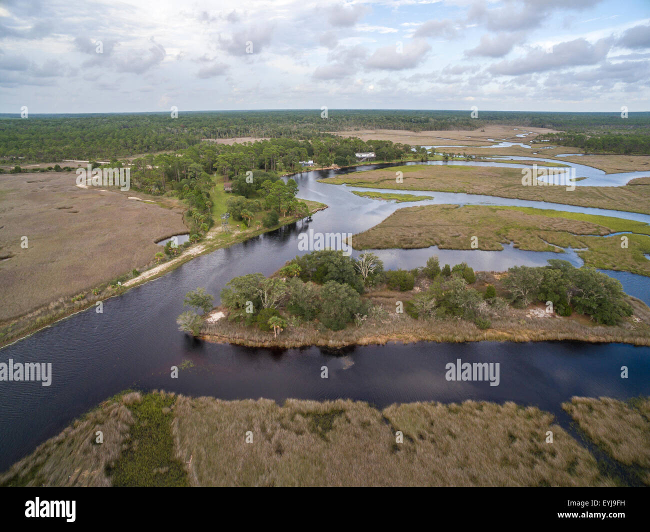 Seagrasses aquatic preserve hires stock photography and images Alamy