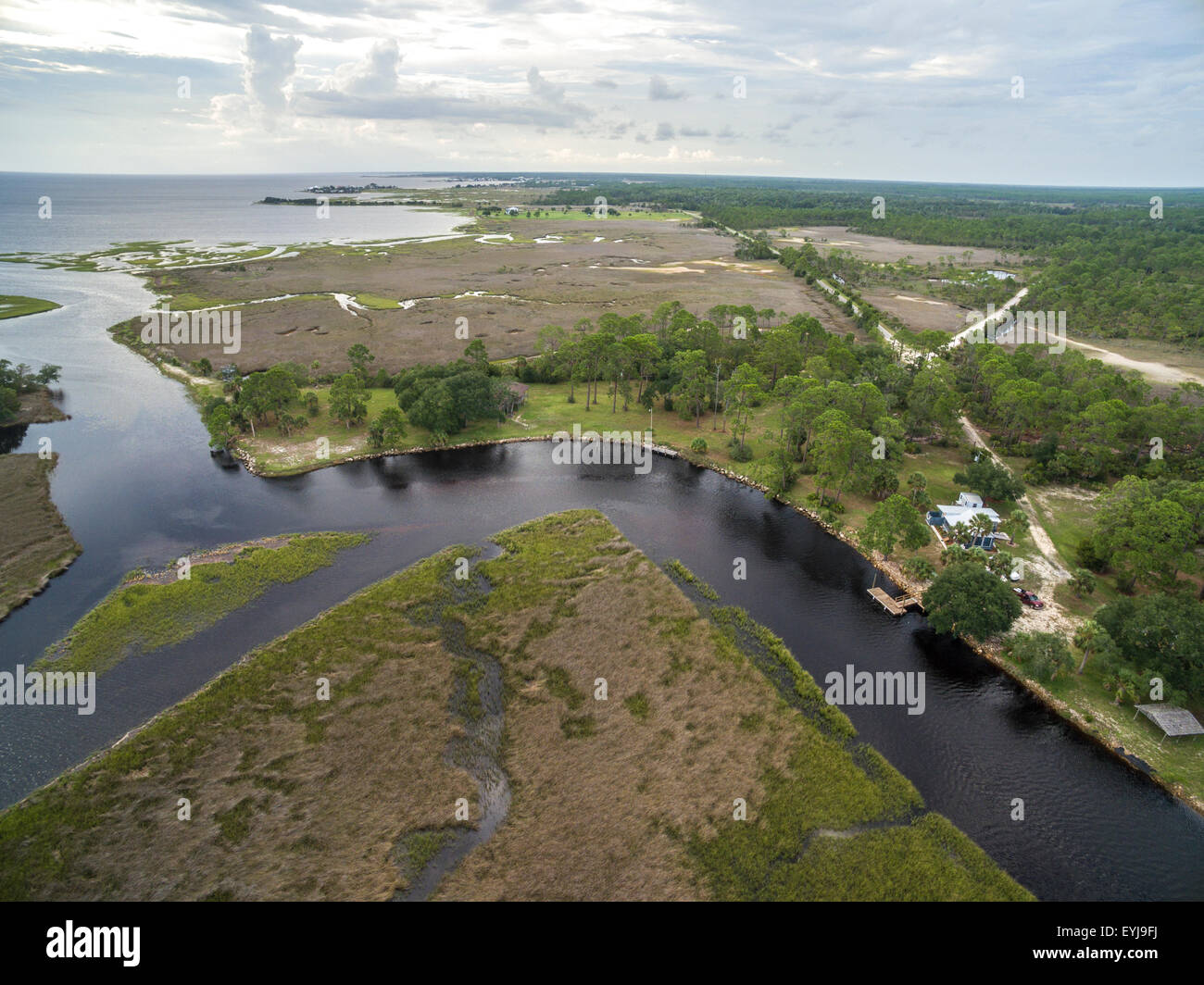 Salt marsh lining Fish Creek, Big Bend Seagrasses Aquatic Preserve, Florida Stock Photo