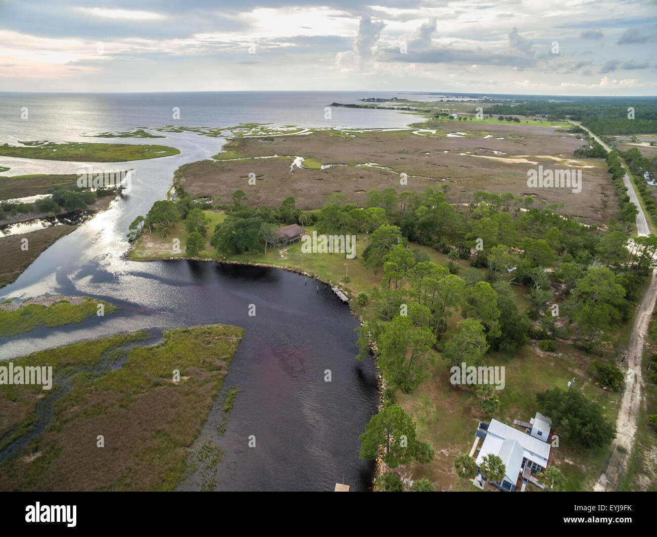 Salt marsh lining Fish Creek, Big Bend Sea Grasses Aquatic Preserve, Florida Stock Photo