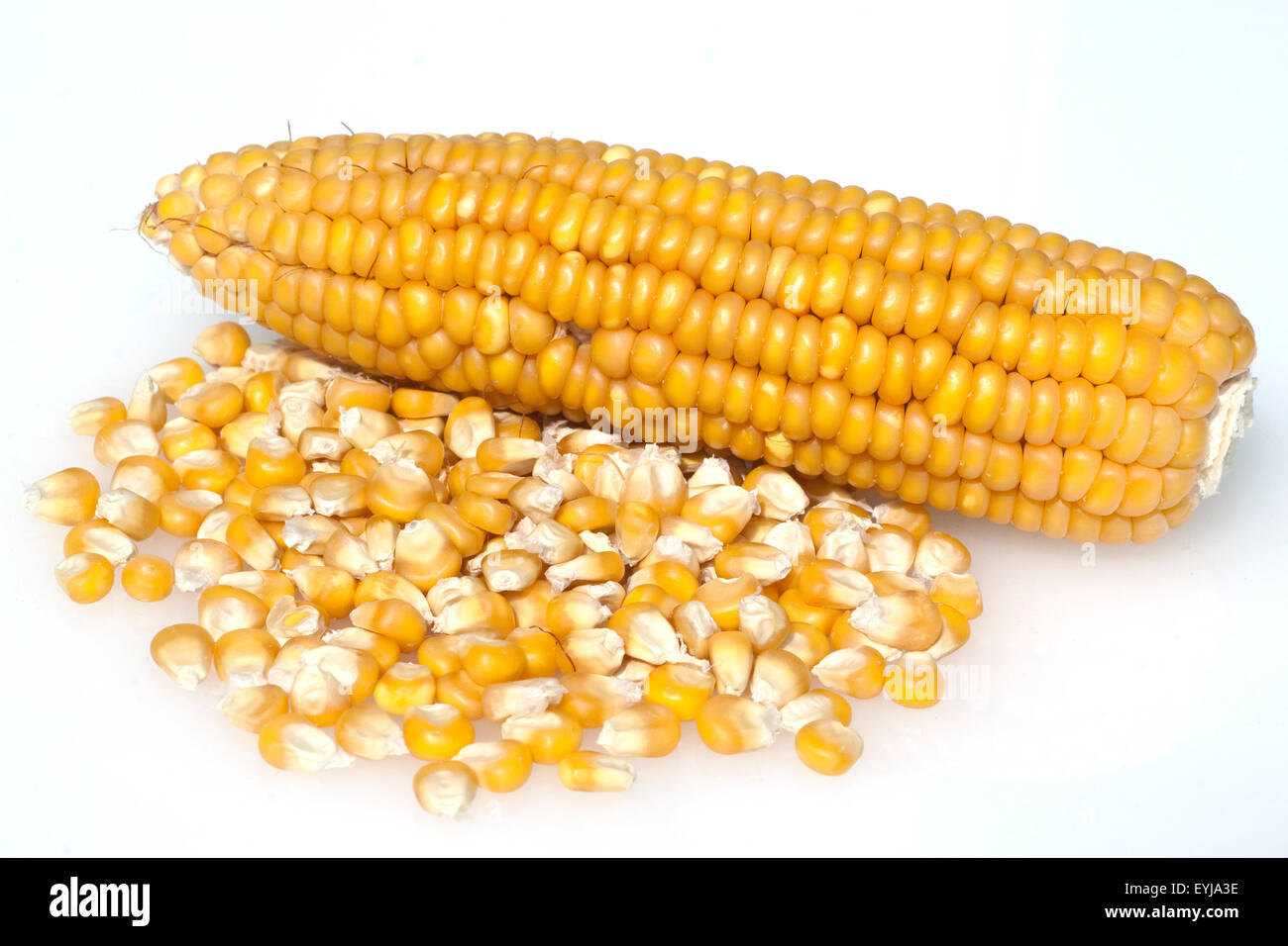 Mais; Zea mays; Maiskoerner Stock Photo - Alamy