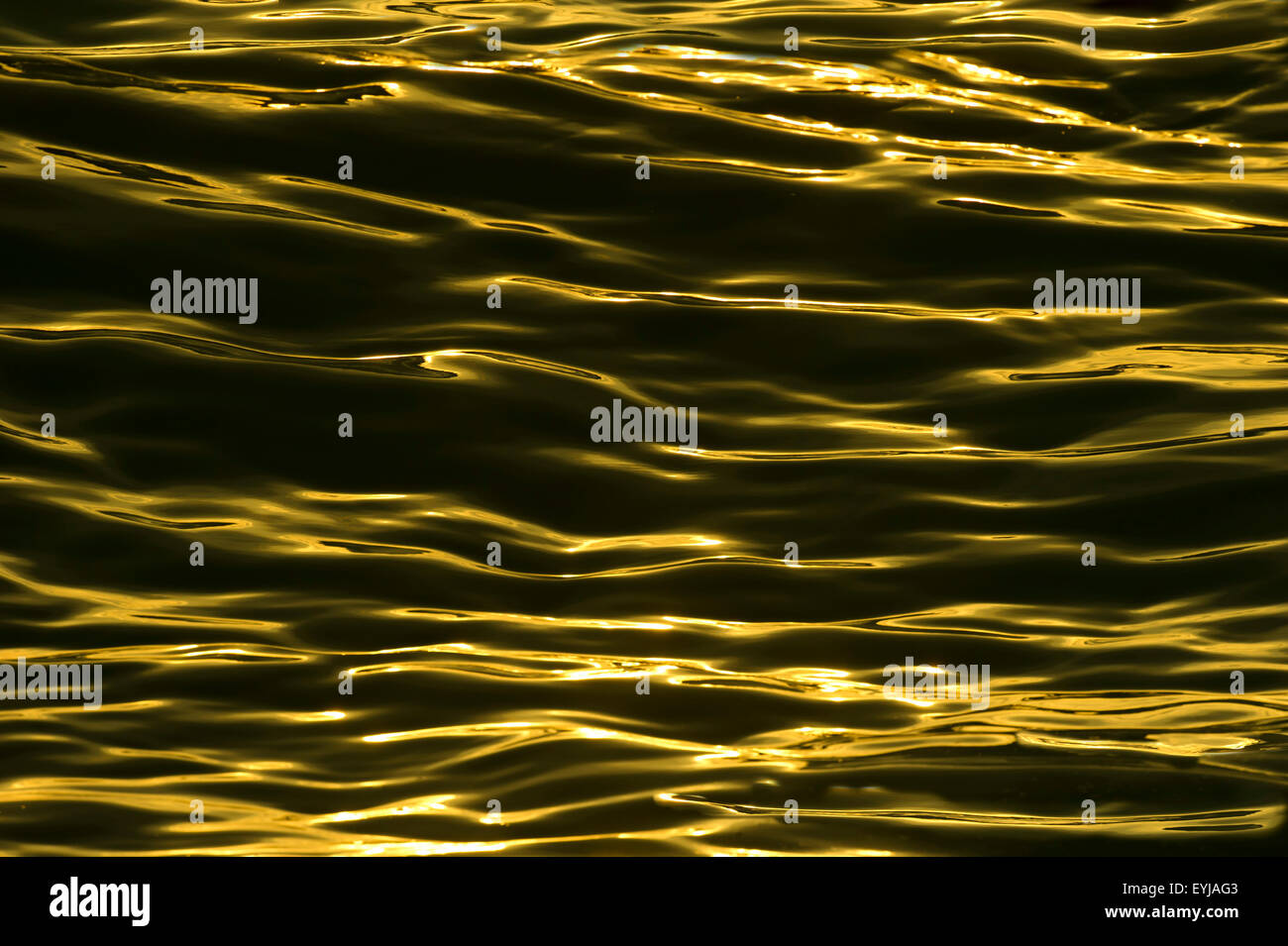 Ripples are beautiful golden surreal wave patterns on the water to form a mesmerizing nature background. Stock Photo