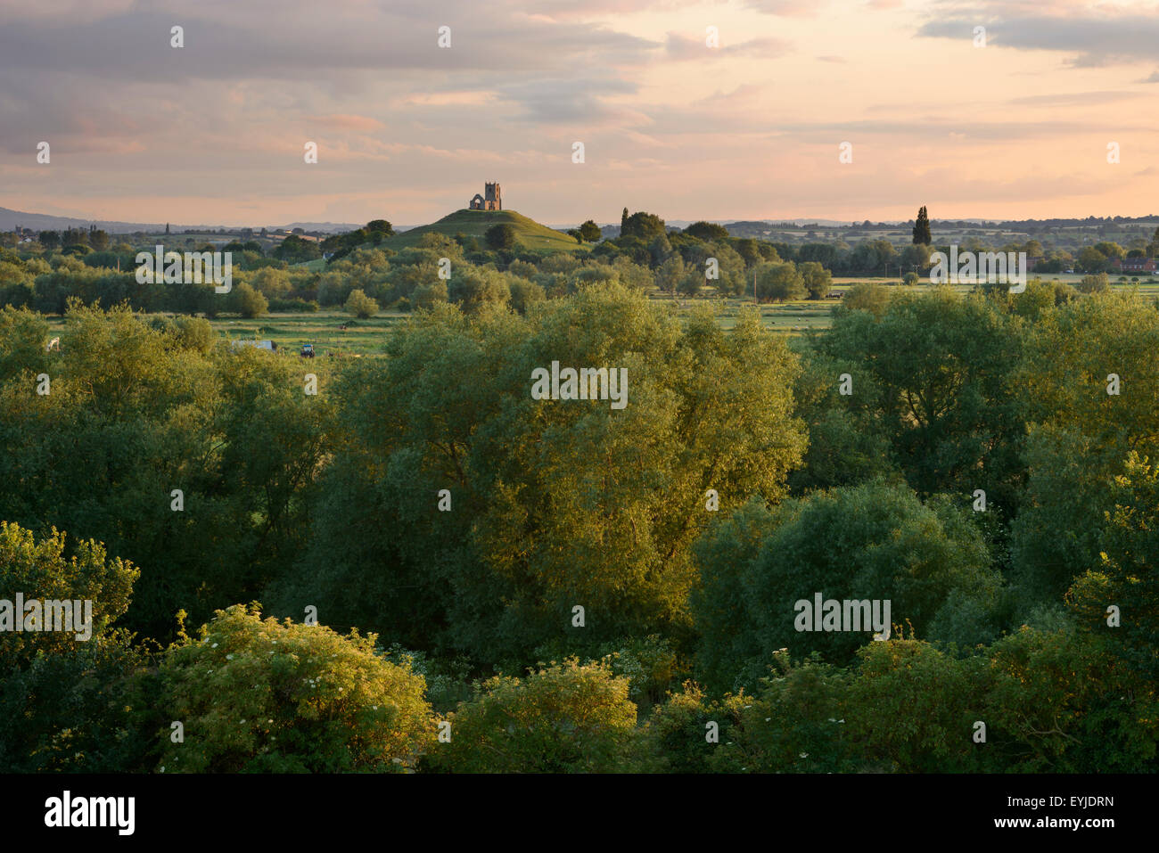 Somerset levels and moors hi-res stock photography and images - Alamy
