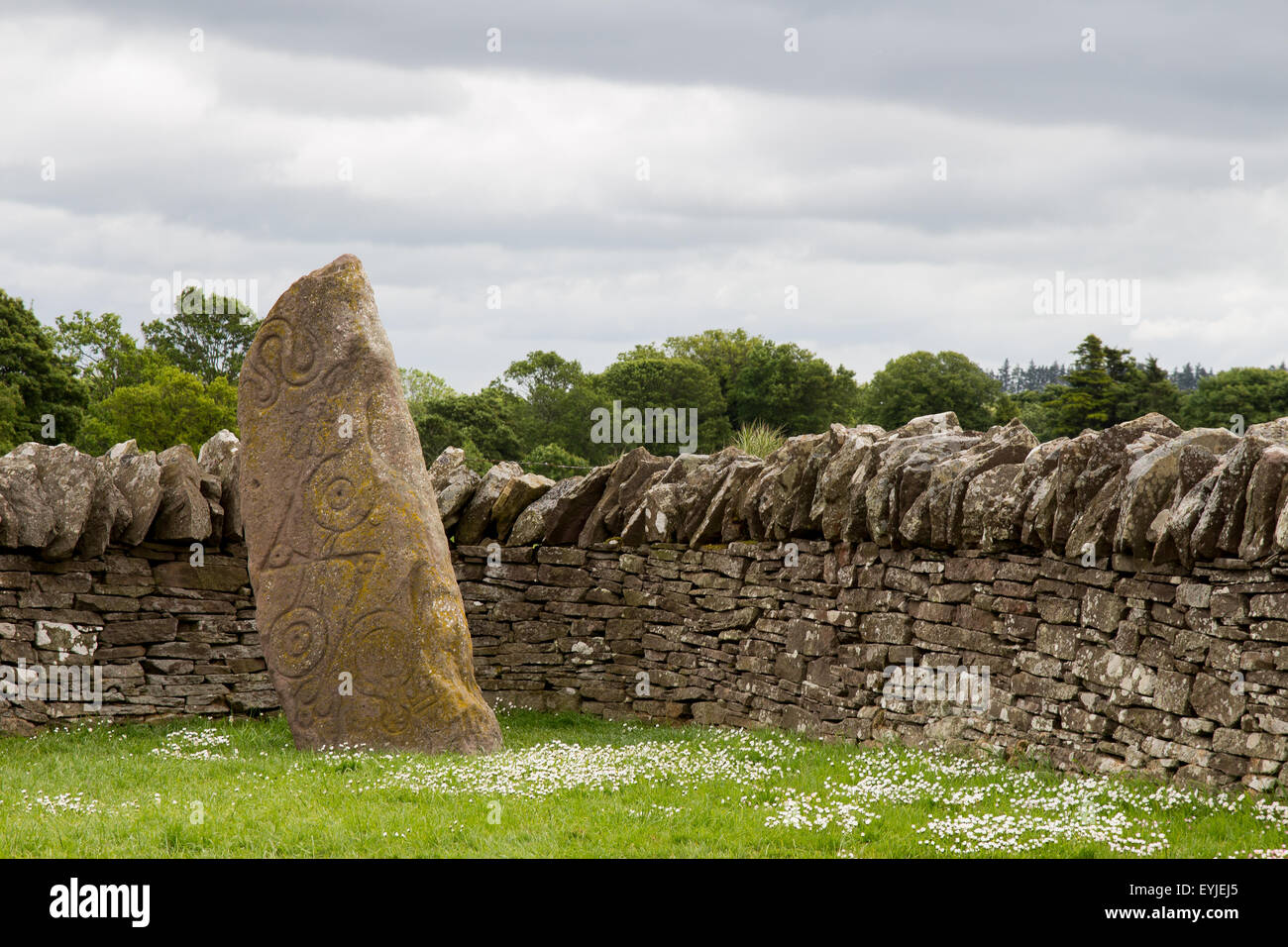 Pictish standing stone Stock Photo