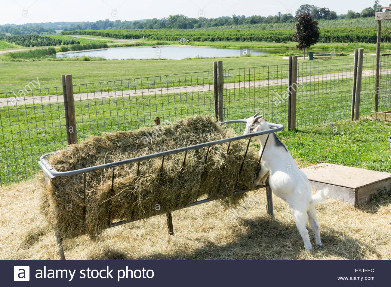 farm crib