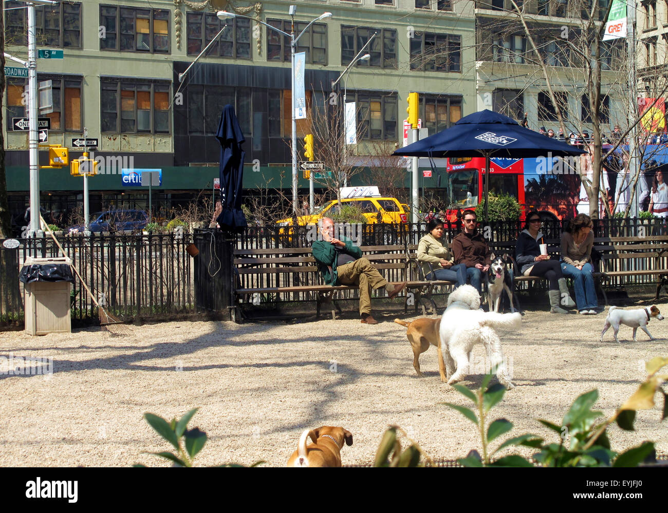 View of dog park, Madison Square Park, Manhattan, New York City, New York State, USA Stock Photo