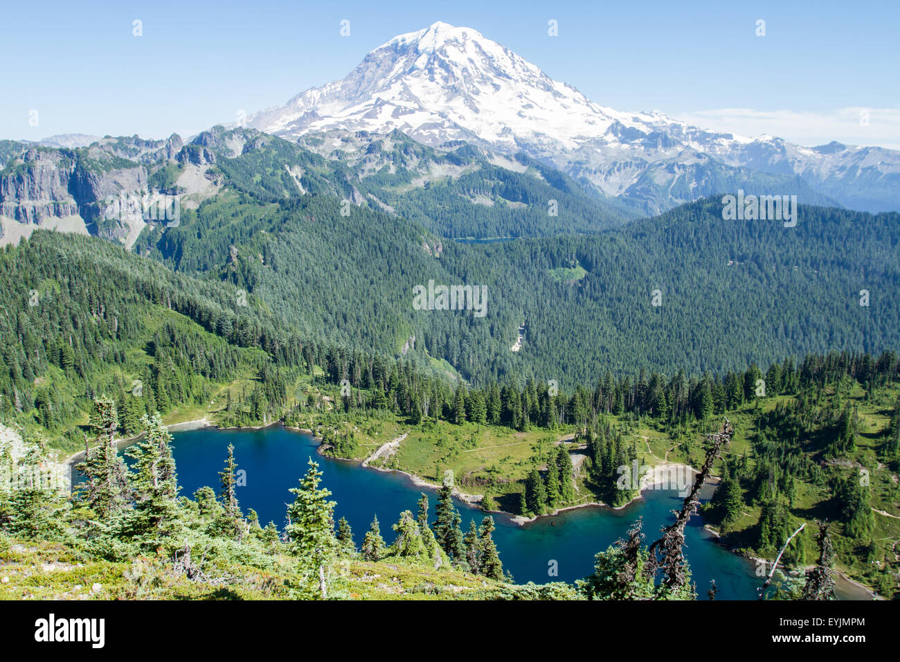 Mt Rainier and Eunice Lake, Washington, view from Tolmie Peak Stock