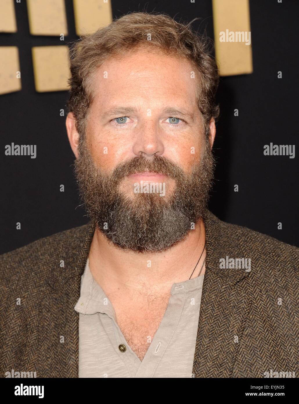 Los Angeles, CA, USA. 30th July, 2015. David Denman at arrivals for THE GIFT Premiere, Regal Cinemas L.A. LIVE Stadium 14, Los Angeles, CA July 30, 2015. Credit:  Dee Cercone/Everett Collection/Alamy Live News Stock Photo