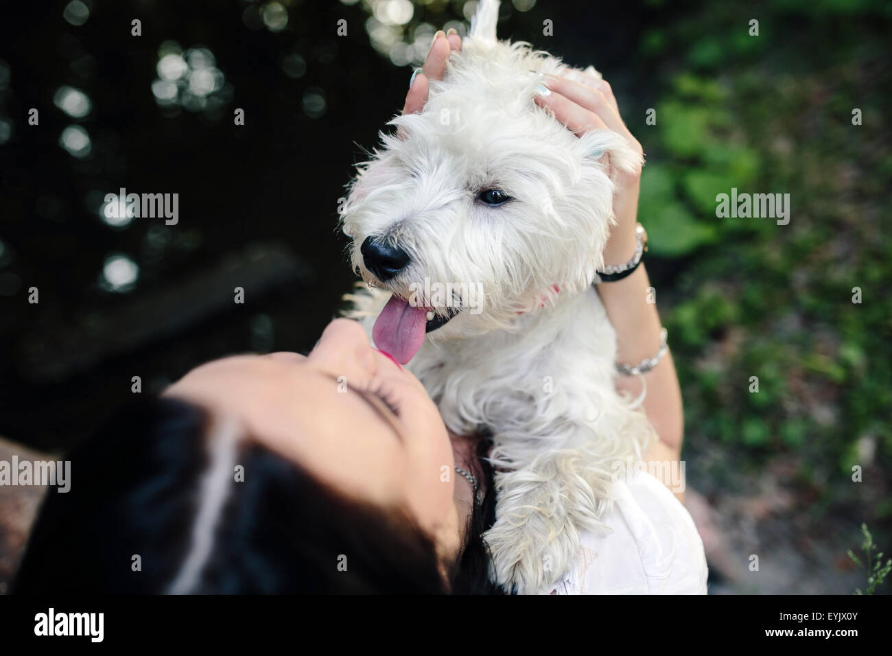 girl with her dog Stock Photo - Alamy