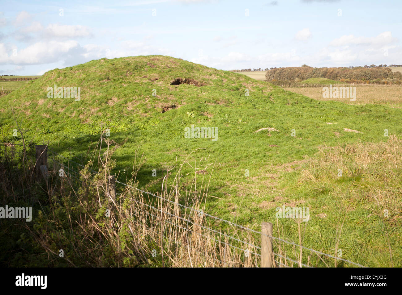 Prehistoric burial mounds, Seven Barrows, Seorfon Barrows, West Overton, Wiltshire, England, UK Seorfon Barrows Stock Photo