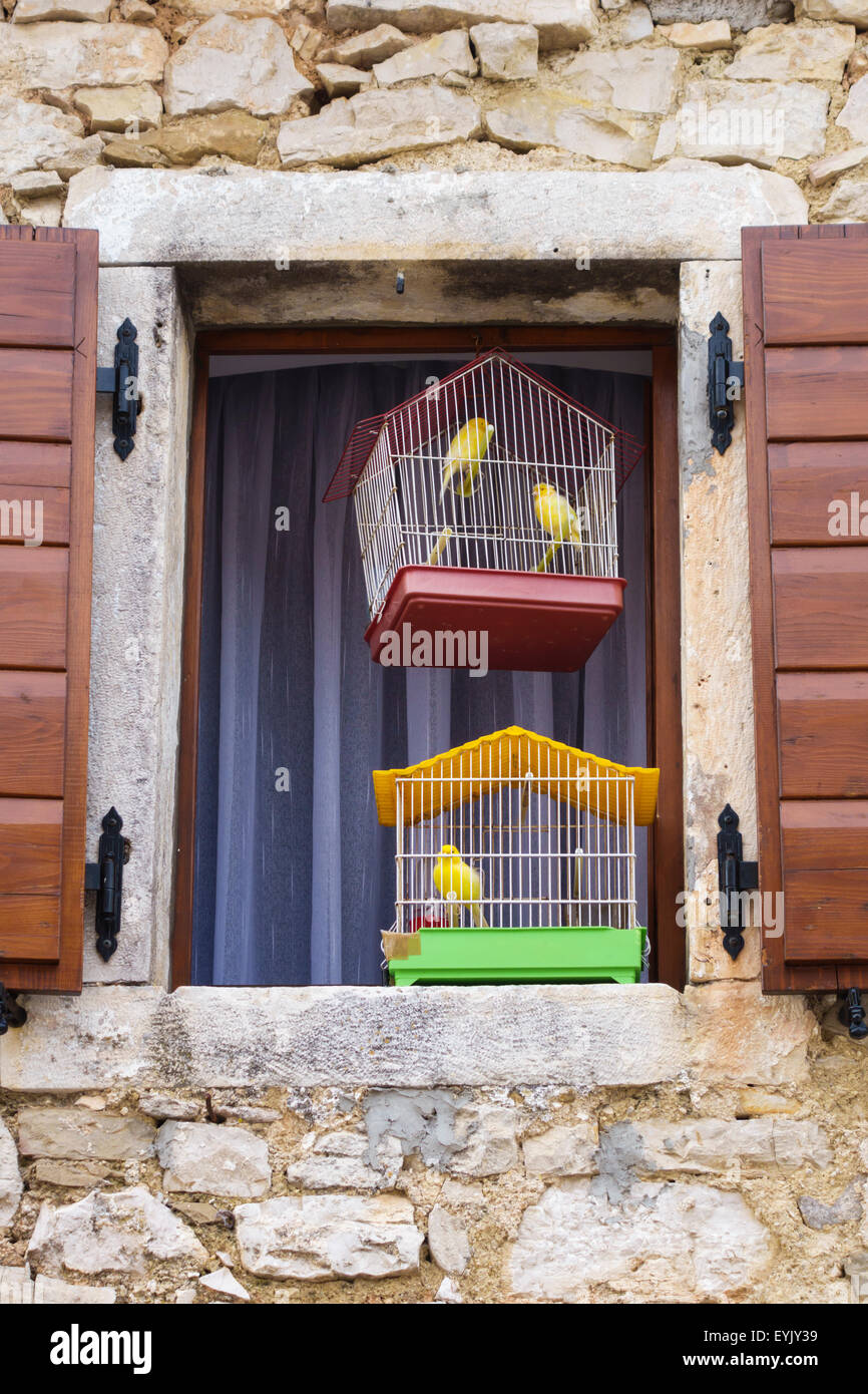 Beram, Istria, Croatia. An unspoilt medieval hilltop village. Caged canaries hang in a shuttered window Stock Photo