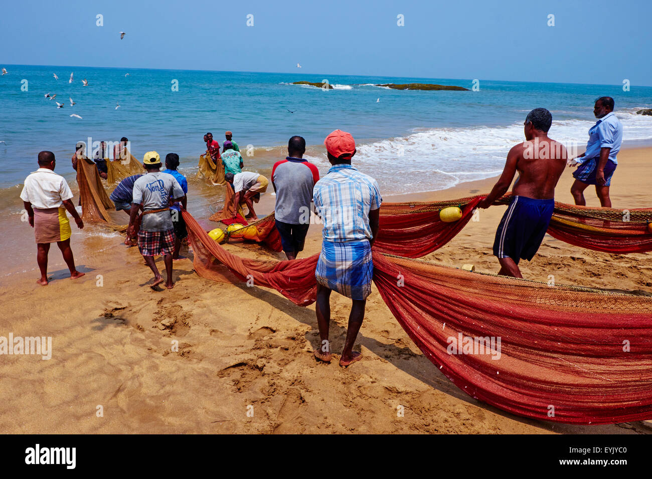Sri Lanka, West Coast, Bentota, seine fishing on the beach Stock