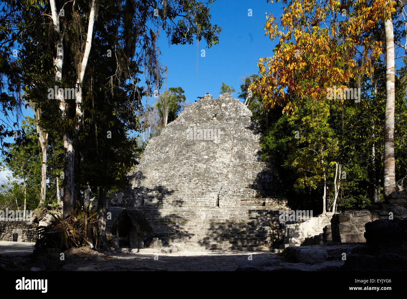 America, Mexico, Quintana Roo state, arqueological site of Coban. Stock Photo