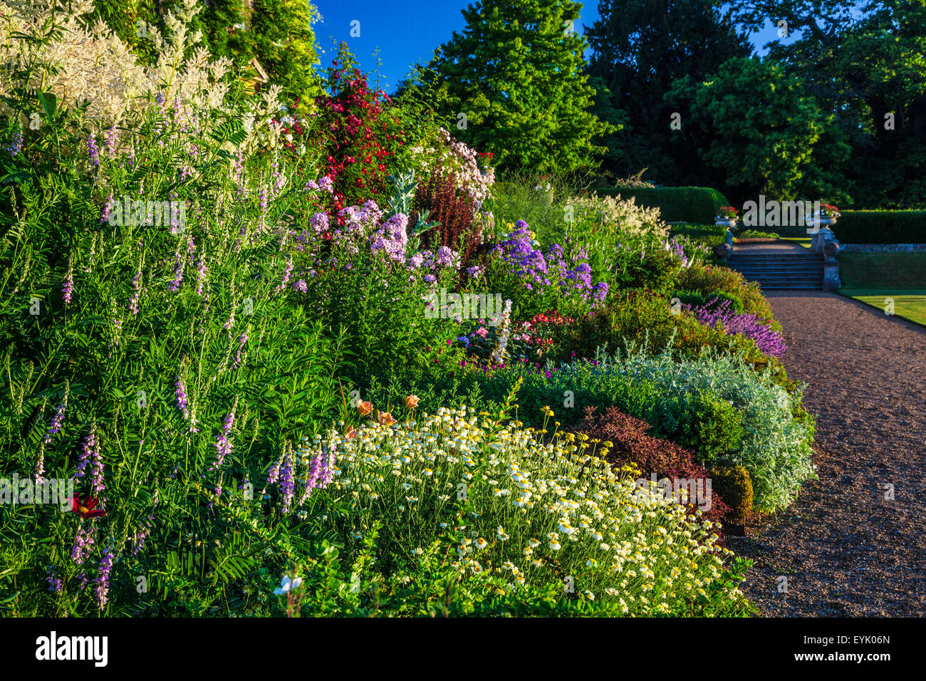 Herbaceous border below the terrace of Bowood House in Wiltshire. Stock Photo