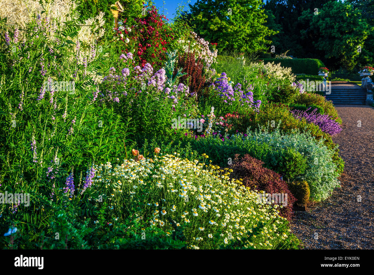 Herbaceous border path hi-res stock photography and images - Alamy