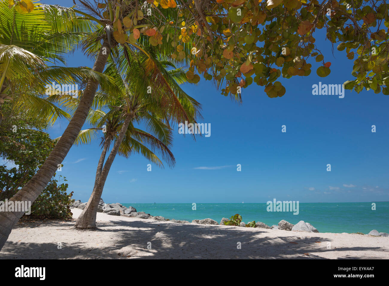 FORT ZACHARY TAYLOR STATE PARK BEACH KEY WEST FLORIDA USA Stock Photo