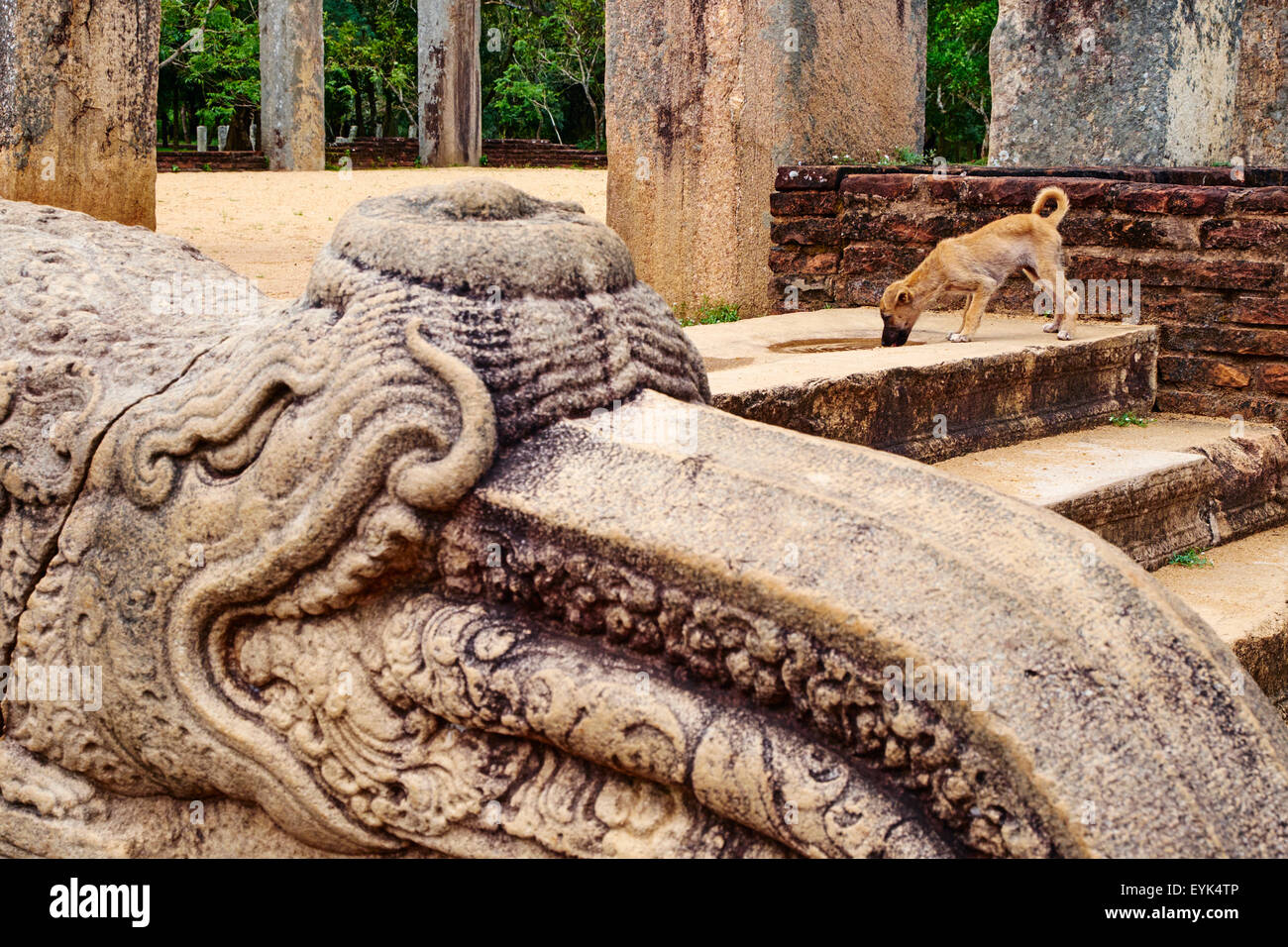 Sri Lanka, Ceylon, North Central Province, Anuradhapura, historic capital of Sri Lanka, UNESCO World Heritage Site, Ratnaprasada Stock Photo