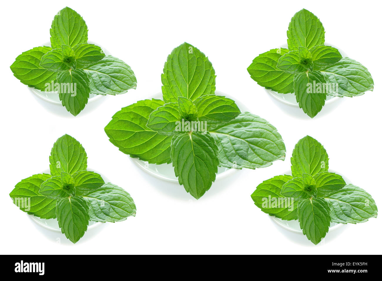 Fresh green mint leaves in a white porcelain dish Stock Photo
