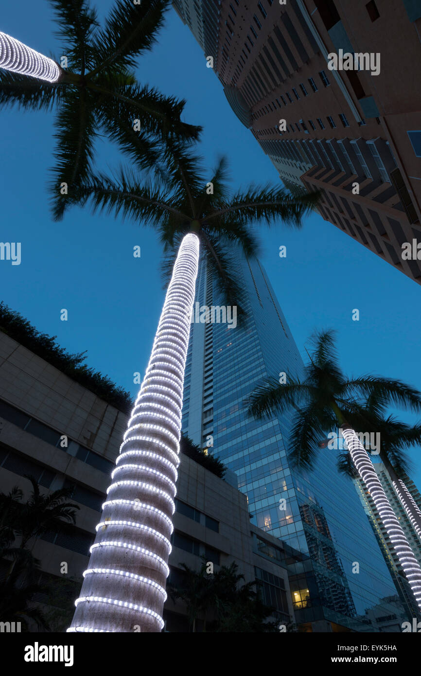 TALL ILLUMINATED PALM TREES DOWNTOWN MIAMI FLORIDA USA Stock Photo Alamy