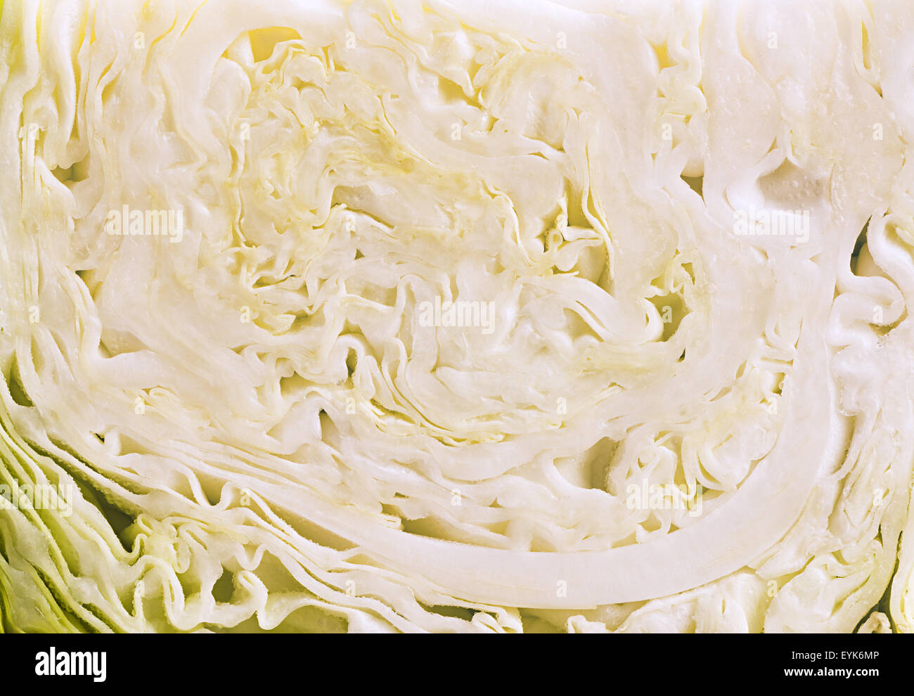 Cabbage cut with knife Stock Photo Alamy