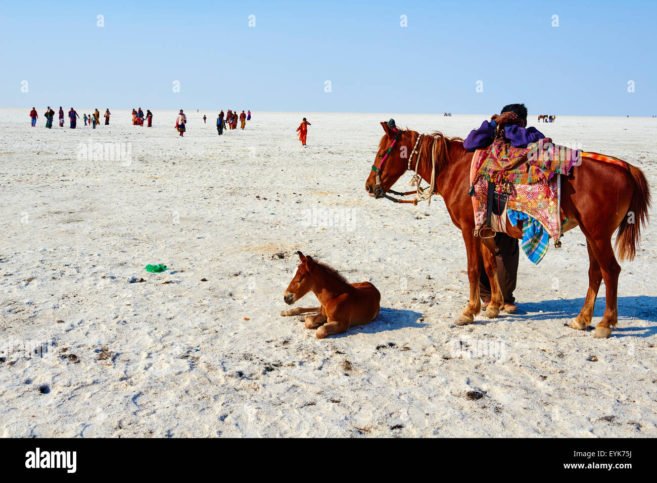 India, Gujarat, Kutch, Rann of Kutch, local turist visiting the salt desert Stock Photo