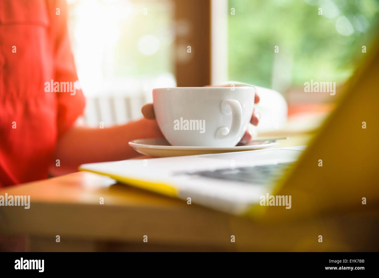 Woman using laptop at coffee break Stock Photo