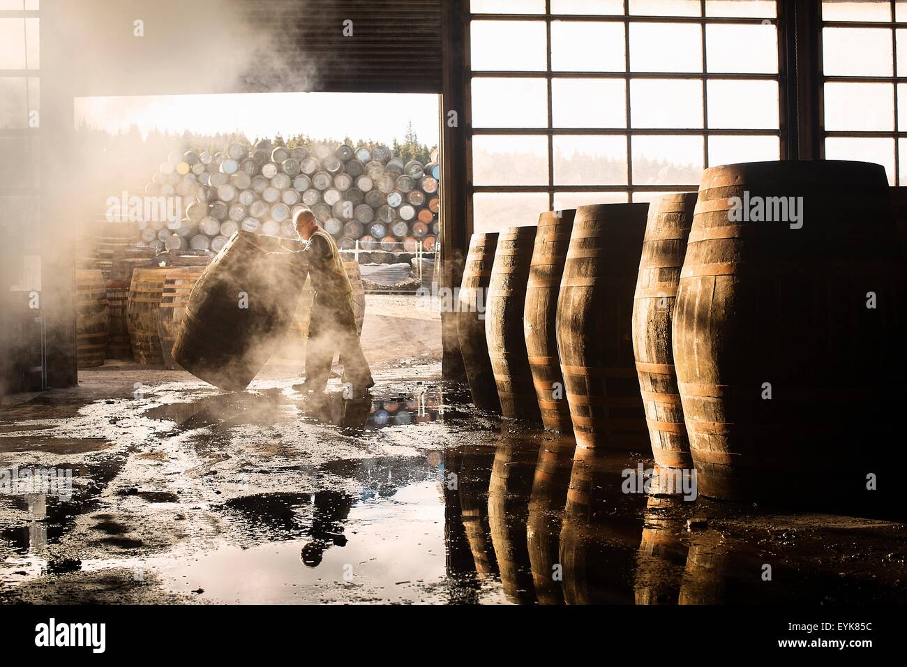 Male cooper working in cooperage with whisky casks Stock Photo