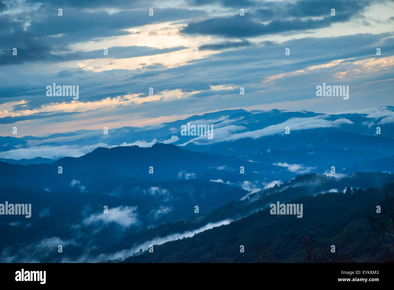 Landscape of forest on hilly landscape in Kinabalu Park, Ranau, Sabah, Malaysia. Stock Photo