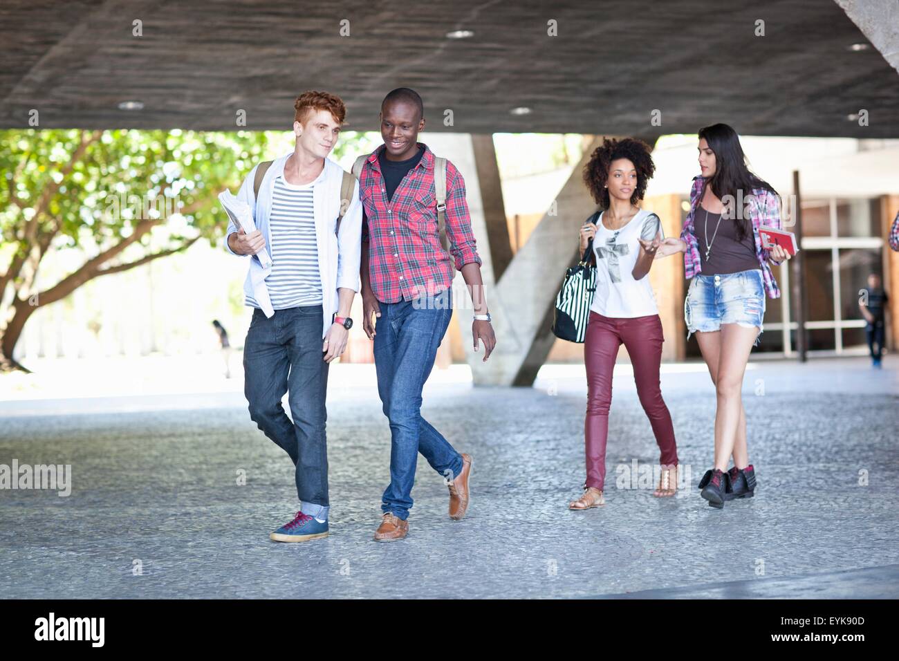 Higher education students Stock Photo