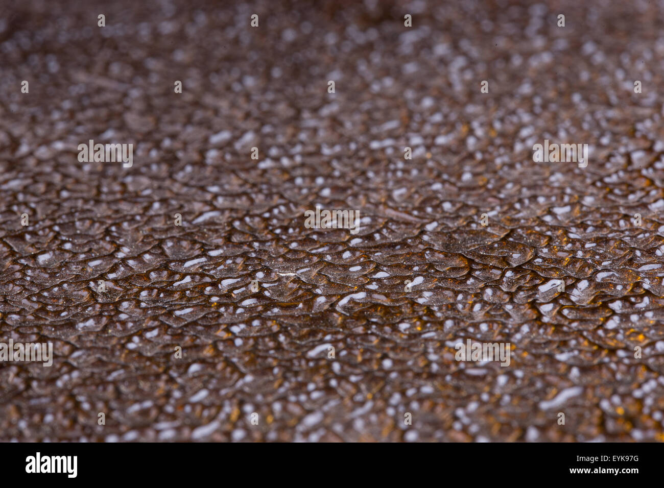 fluted glass. design element. The wavy texture Stock Photo Alamy