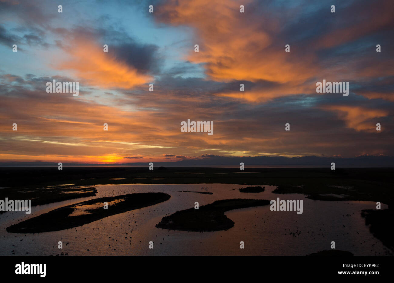 Caerlaverock at solway firth hi-res stock photography and images - Alamy