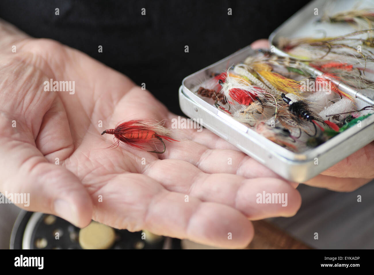 A man with a box of fly fishing flies, one in his hand Stock Photo