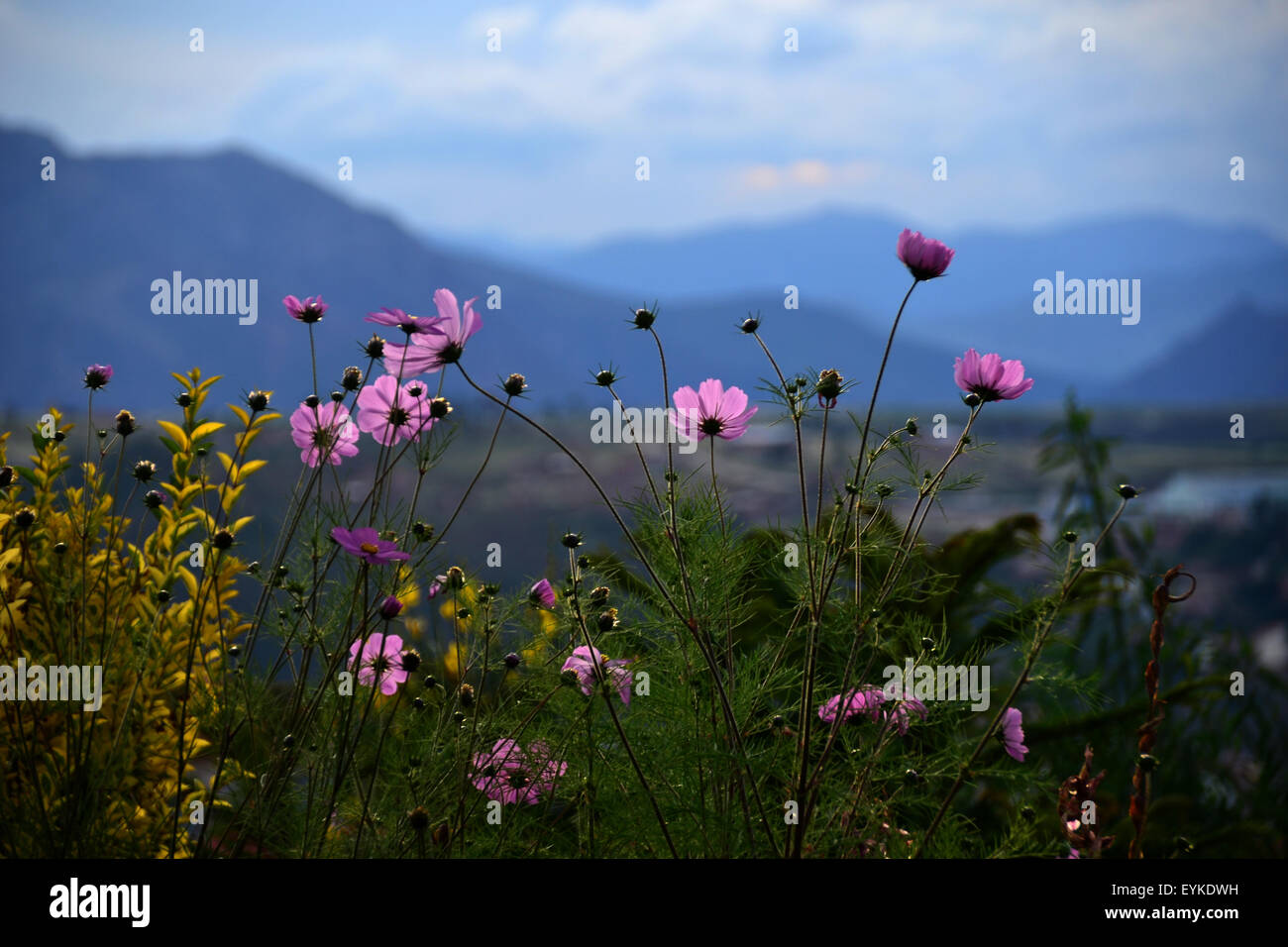 Backdrop of mountains hi-res stock photography and images - Alamy